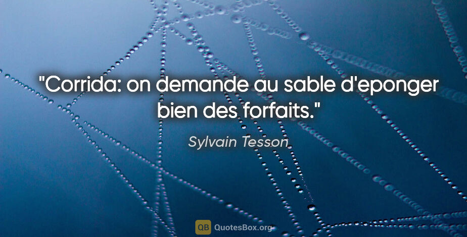 Sylvain Tesson citation: "Corrida: on demande au sable d'eponger bien des forfaits."