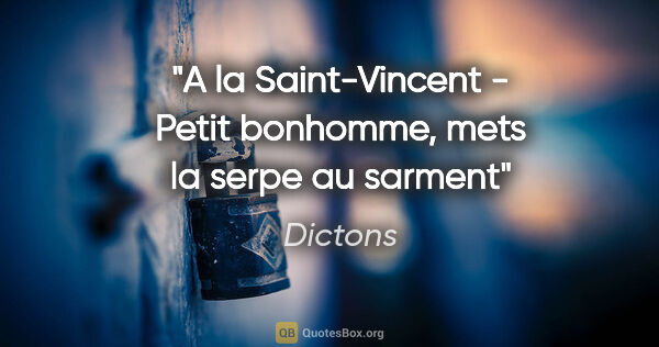 Dictons citation: "A la Saint-Vincent - Petit bonhomme, mets la serpe au sarment"