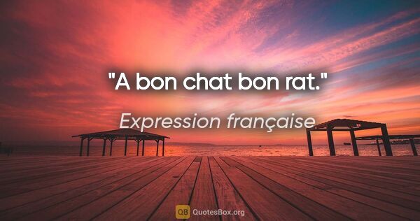 Expression française citation: "A bon chat bon rat."