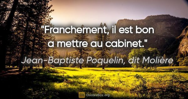 Jean-Baptiste Poquelin, dit Molière citation: "Franchement, il est bon a mettre au cabinet."