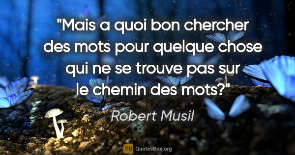 Robert Musil citation: "Mais a quoi bon chercher des mots pour quelque chose qui ne se..."