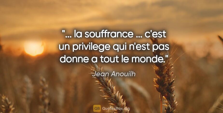 Jean Anouilh citation: " la souffrance ... c'est un privilege qui n'est pas donne a..."