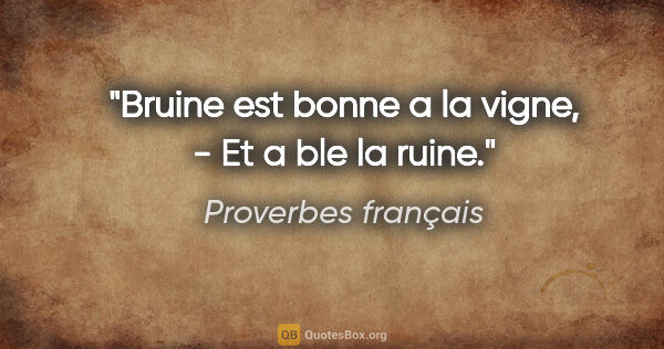 Proverbes français citation: "Bruine est bonne a la vigne, - Et a ble la ruine."