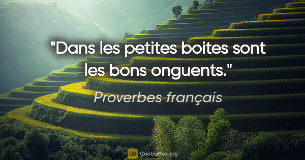Proverbes français citation: "Dans les petites boites sont les bons onguents."