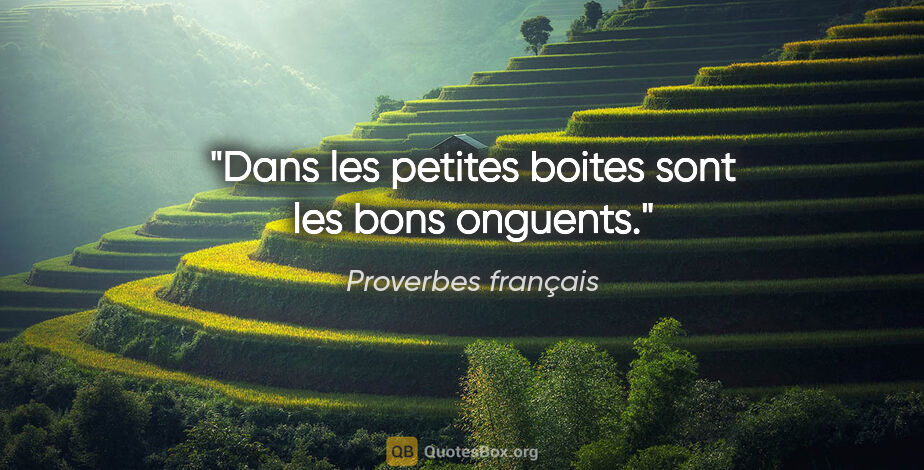 Proverbes français citation: "Dans les petites boites sont les bons onguents."