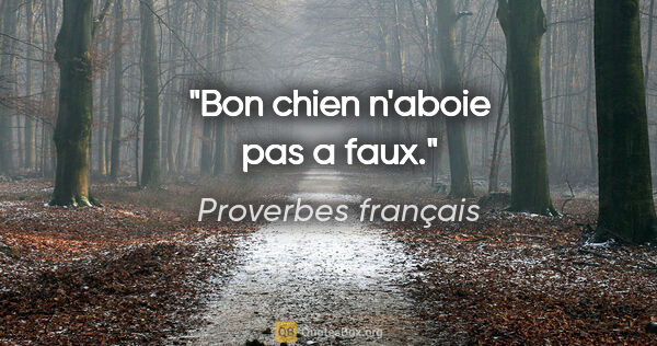 Proverbes français citation: "Bon chien n'aboie pas a faux."