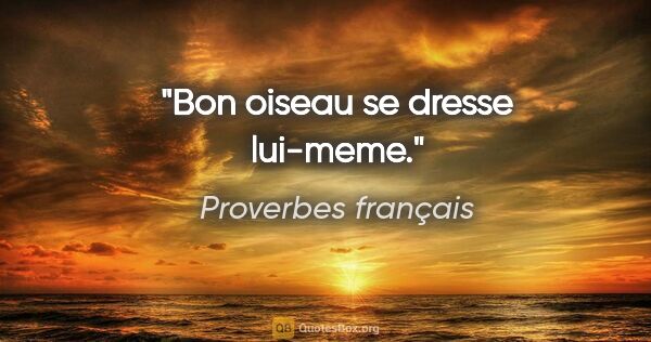 Proverbes français citation: "Bon oiseau se dresse lui-meme."