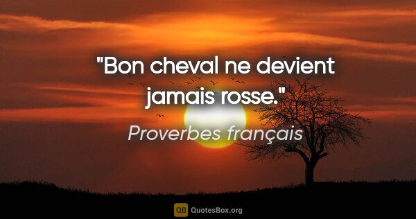 Proverbes français citation: "Bon cheval ne devient jamais rosse."