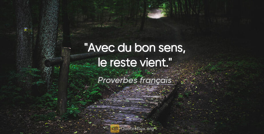 Proverbes français citation: "Avec du bon sens, le reste vient."