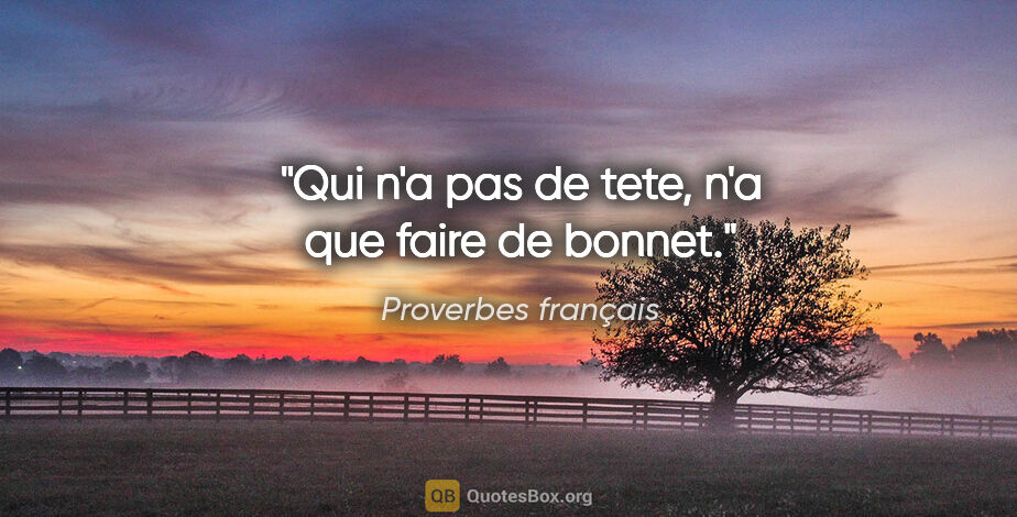 Proverbes français citation: "Qui n'a pas de tete, n'a que faire de bonnet."
