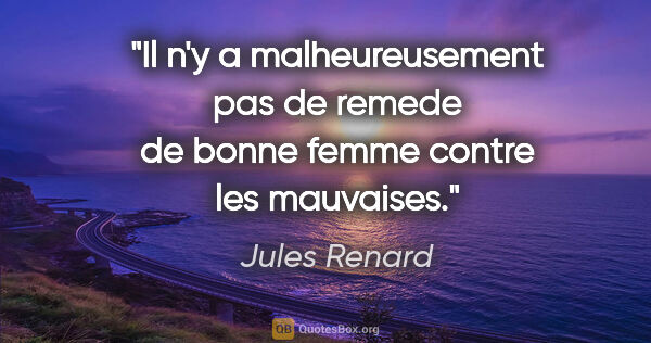 Jules Renard citation: "Il n'y a malheureusement pas de remede de bonne femme contre..."
