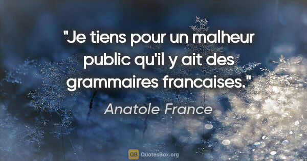 Anatole France citation: "Je tiens pour un malheur public qu'il y ait des grammaires..."