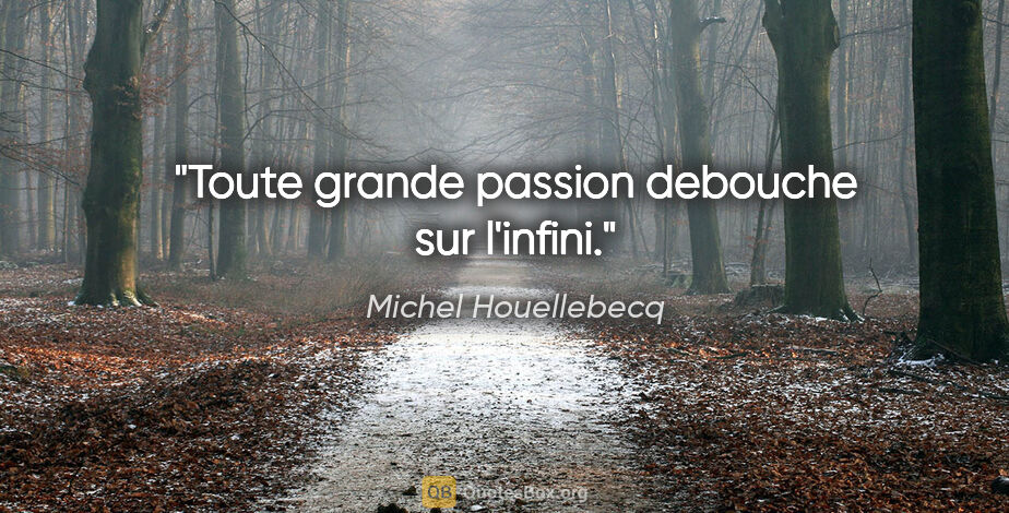 Michel Houellebecq citation: "Toute grande passion debouche sur l'infini."