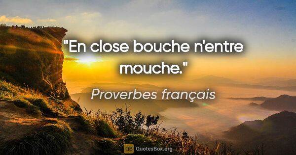 Proverbes français citation: "En close bouche n'entre mouche."