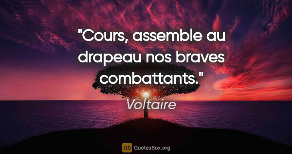 Voltaire citation: "Cours, assemble au drapeau nos braves combattants."
