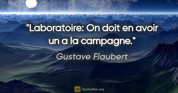 Gustave Flaubert citation: "Laboratoire: On doit en avoir un a la campagne."