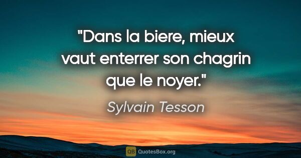 Sylvain Tesson citation: "Dans la biere, mieux vaut enterrer son chagrin que le noyer."