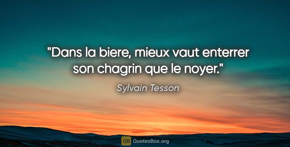 Sylvain Tesson citation: "Dans la biere, mieux vaut enterrer son chagrin que le noyer."
