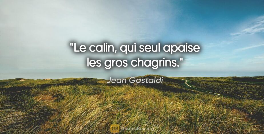 Jean Gastaldi citation: "Le calin, qui seul apaise les gros chagrins."