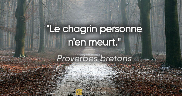 Proverbes bretons citation: "Le chagrin personne n'en meurt."