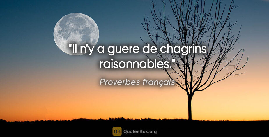 Proverbes français citation: "Il n'y a guere de chagrins raisonnables."