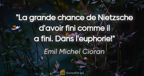 Emil Michel Cioran citation: "La grande chance de Nietzsche d'avoir fini comme il a fini...."