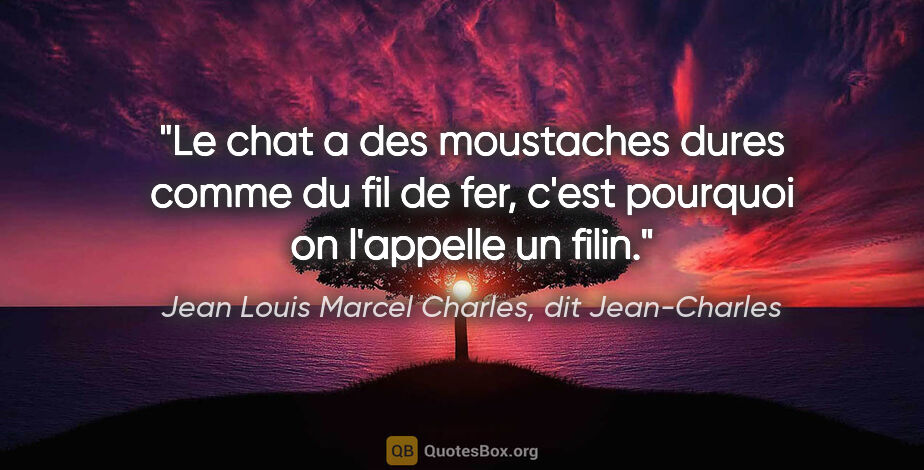 Jean Louis Marcel Charles, dit Jean-Charles citation: "Le chat a des moustaches dures comme du fil de fer, c'est..."