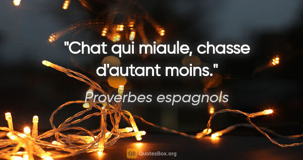Proverbes espagnols citation: "Chat qui miaule, chasse d'autant moins."