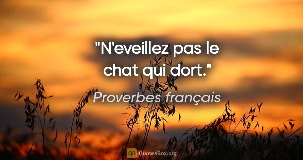 Proverbes français citation: "N'eveillez pas le chat qui dort."