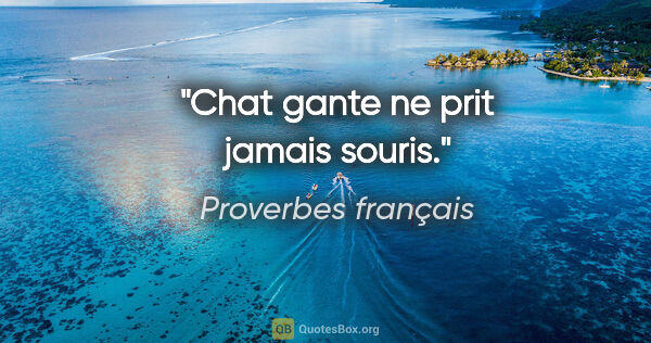 Proverbes français citation: "Chat gante ne prit jamais souris."