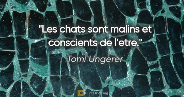 Tomi Ungerer citation: "Les chats sont malins et conscients de l'etre."