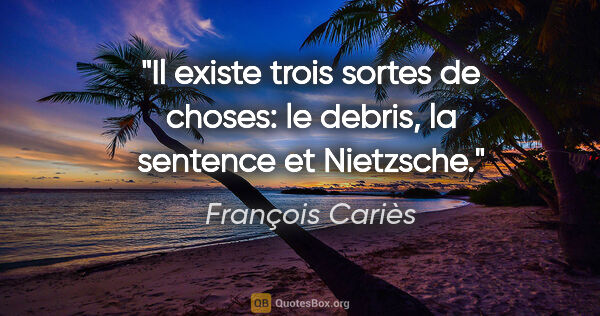 François Cariès citation: "Il existe trois sortes de choses: le debris, la sentence et..."