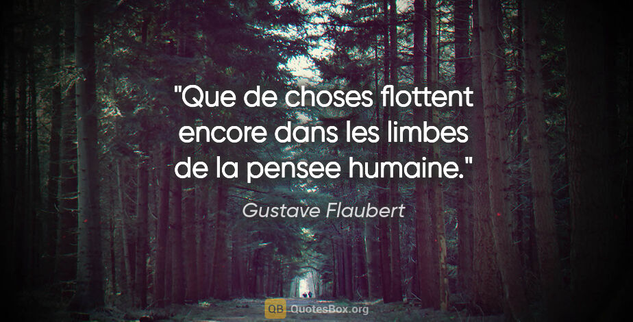 Gustave Flaubert citation: "Que de choses flottent encore dans les limbes de la pensee..."