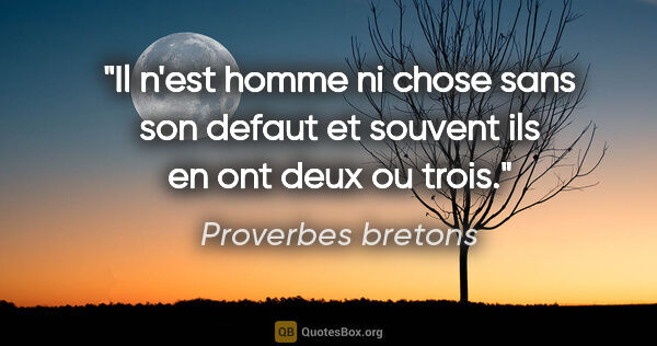 Proverbes bretons citation: "Il n'est homme ni chose sans son defaut et souvent ils en ont..."