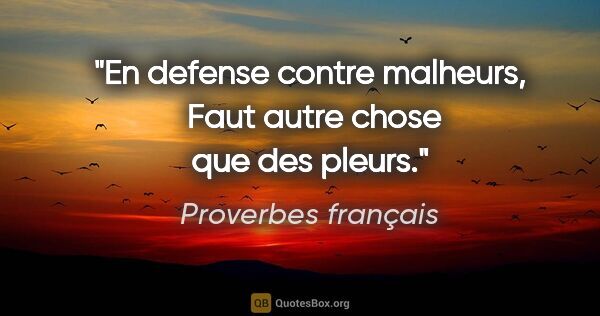 Proverbes français citation: "En defense contre malheurs,  Faut autre chose que des pleurs."