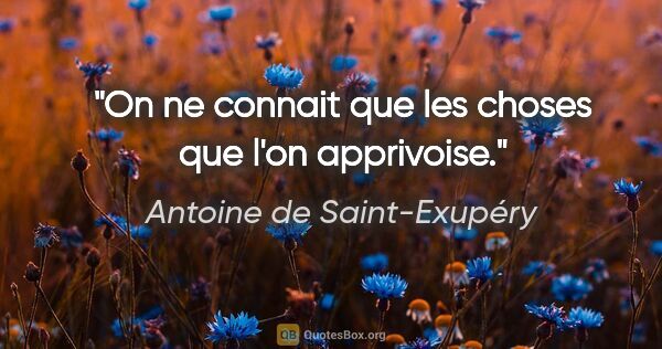 Antoine de Saint-Exupéry citation: "On ne connait que les choses que l'on apprivoise."