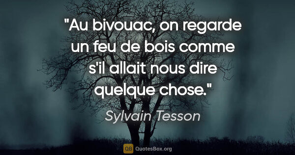 Sylvain Tesson citation: "Au bivouac, on regarde un feu de bois comme s'il allait nous..."