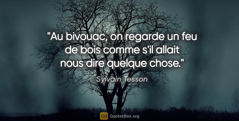 Sylvain Tesson citation: "Au bivouac, on regarde un feu de bois comme s'il allait nous..."