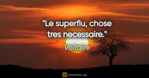 Voltaire citation: "Le superflu, chose tres necessaire."