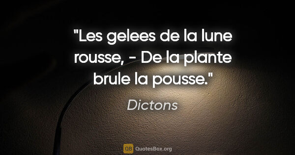 Dictons citation: "Les gelees de la lune rousse, - De la plante brule la pousse."