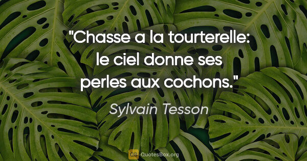 Sylvain Tesson citation: "Chasse a la tourterelle: le ciel donne ses perles aux cochons."