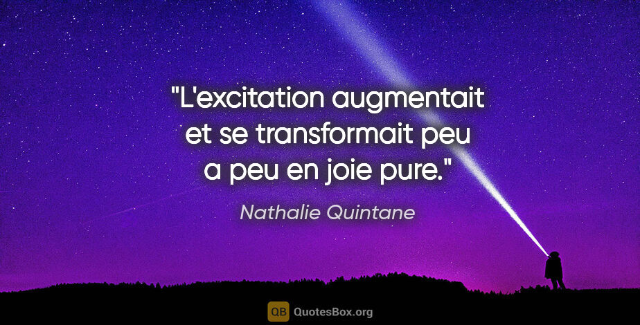 Nathalie Quintane citation: "L'excitation augmentait et se transformait peu a peu en joie..."