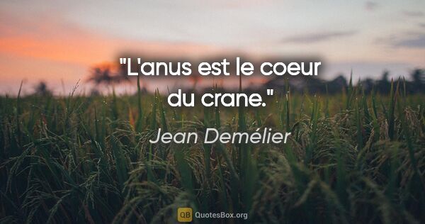 Jean Demélier citation: "L'anus est le coeur du crane."