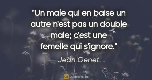 Jean Genet citation: "Un male qui en baise un autre n'est pas un double male; c'est..."