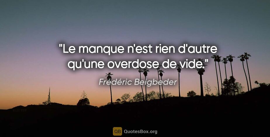 Frédéric Beigbeder citation: "Le manque n'est rien d'autre qu'une overdose de vide."