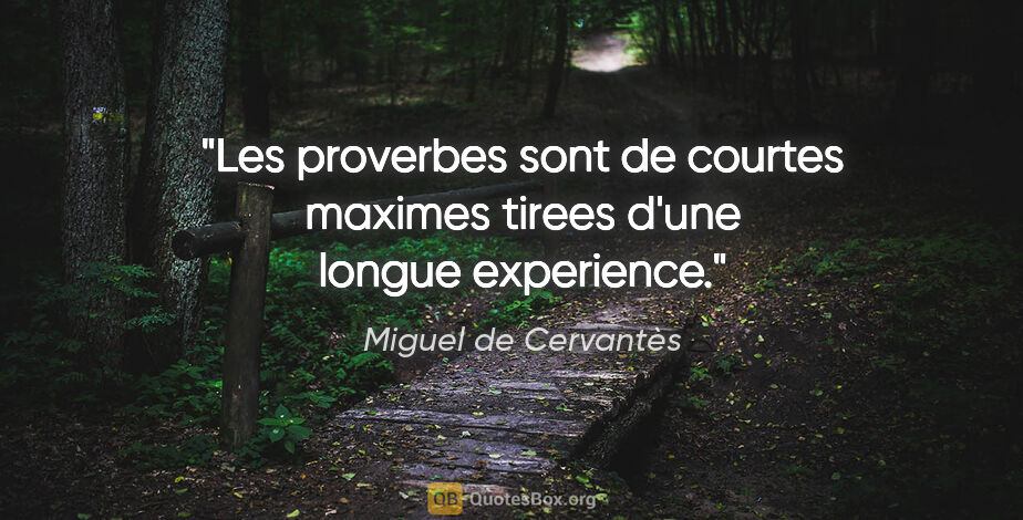 Miguel de Cervantès citation: "Les proverbes sont de courtes maximes tirees d'une longue..."