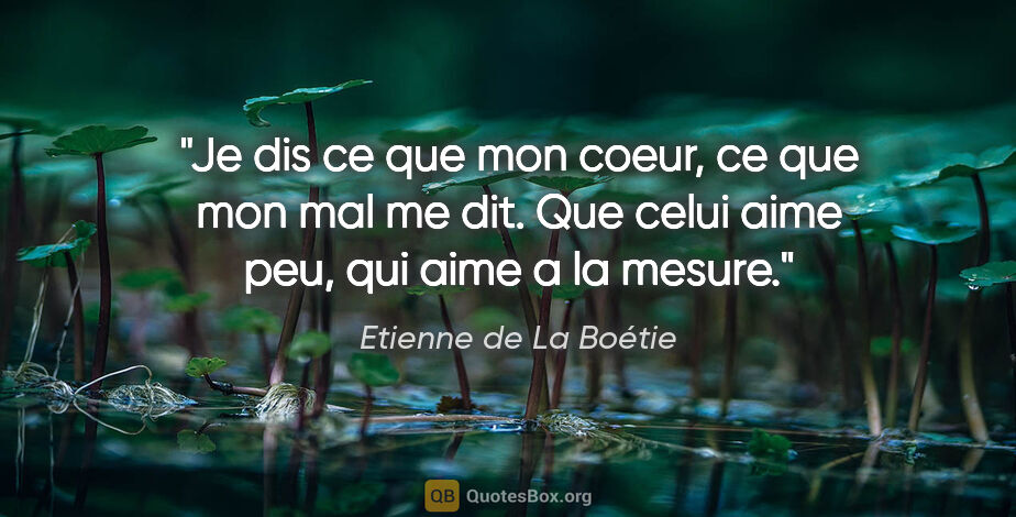 Etienne de La Boétie citation: "Je dis ce que mon coeur, ce que mon mal me dit. Que celui aime..."
