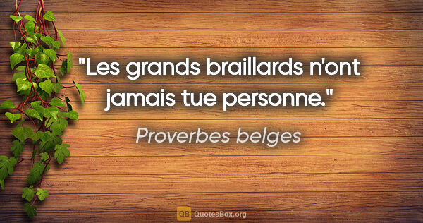 Proverbes belges citation: "Les grands braillards n'ont jamais tue personne."