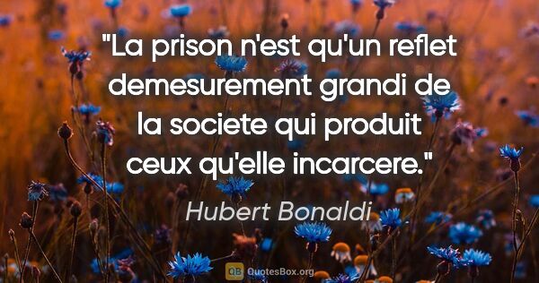 Hubert Bonaldi citation: "La prison n'est qu'un reflet demesurement grandi de la societe..."