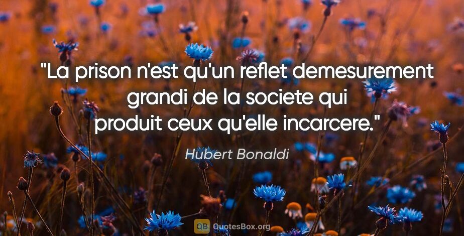 Hubert Bonaldi citation: "La prison n'est qu'un reflet demesurement grandi de la societe..."